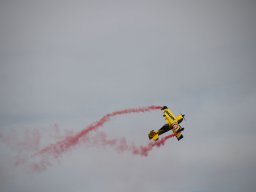 rodenberg2025 40